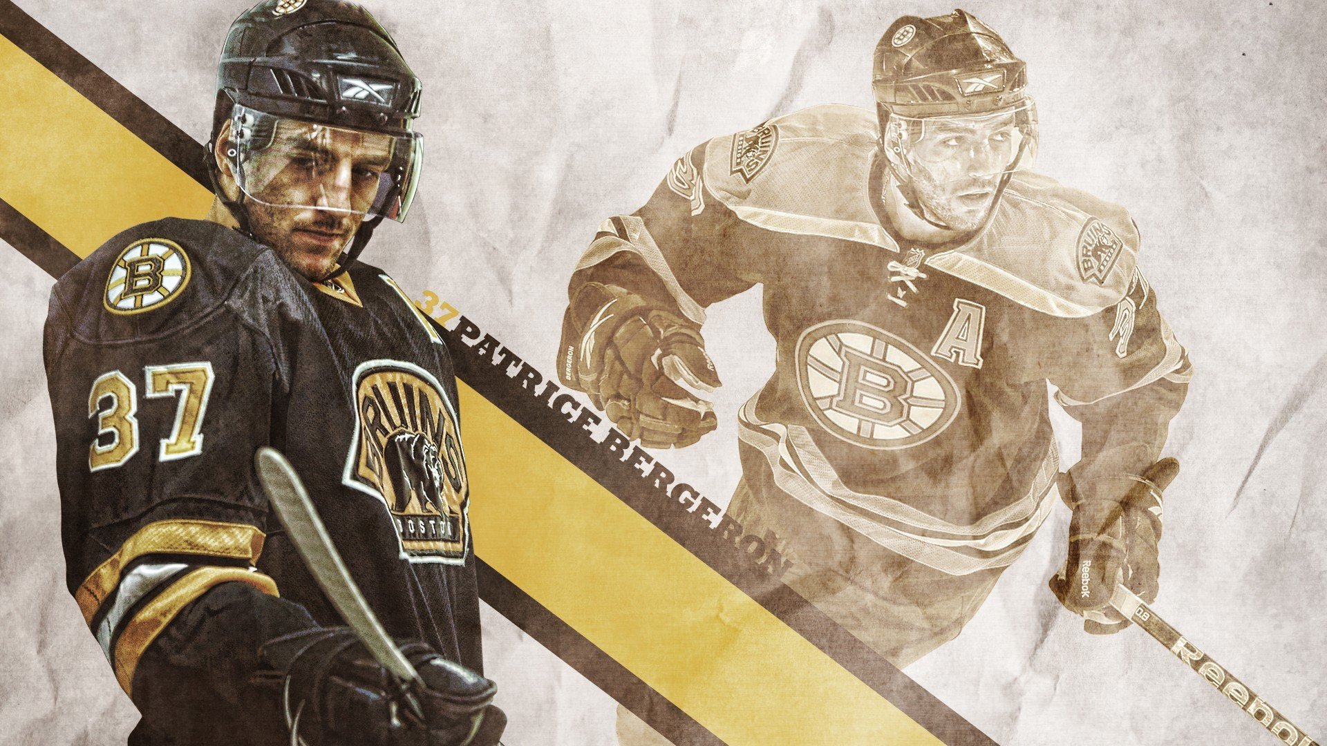 掘金核心举办“宠物慈善赛”,萌宠与篮球同台