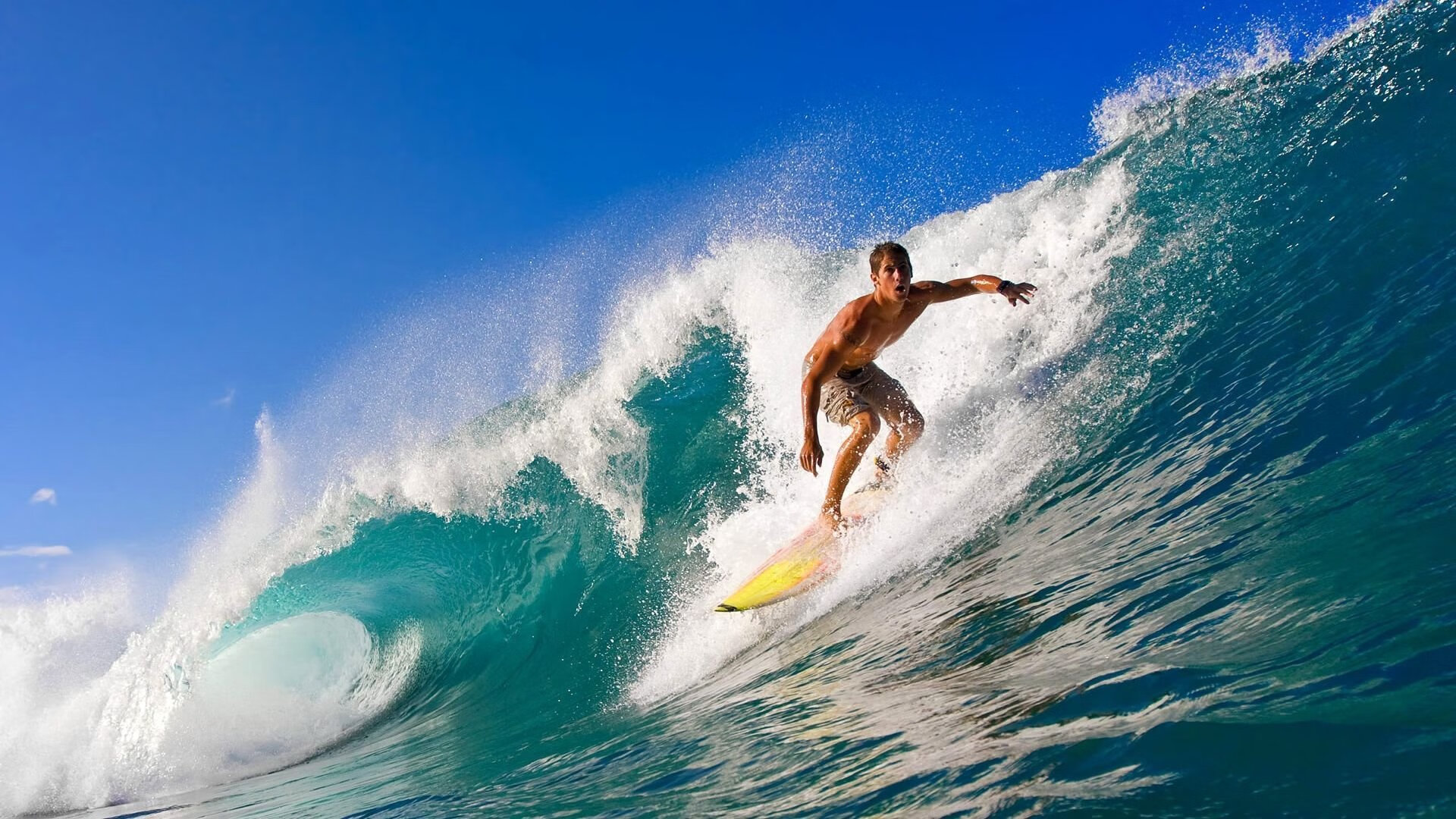 开云官网-篮球运动员康复训练科学方法普及，篮球运动员训练方案